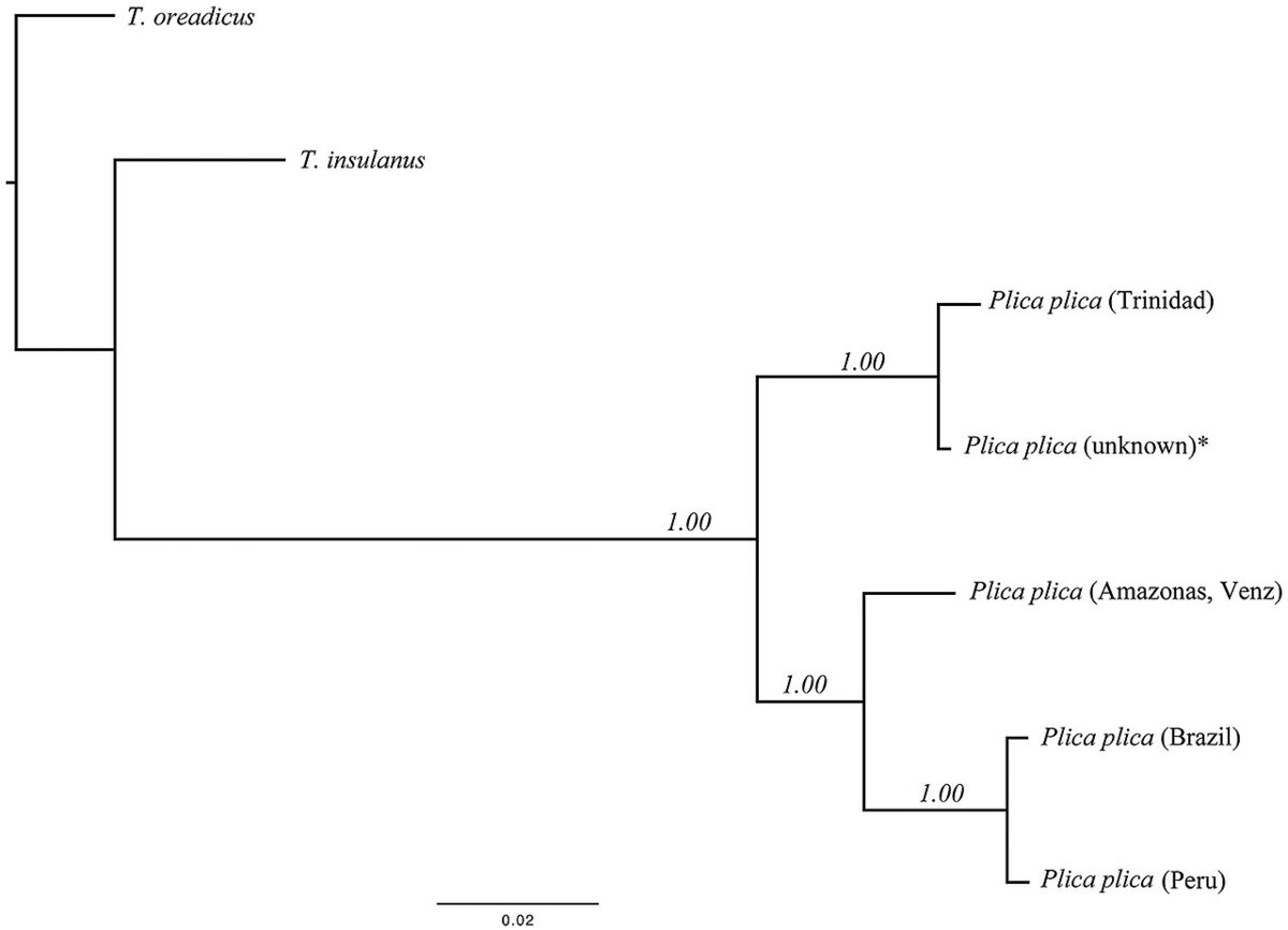 bayesian probability foundational Bayesian Probability Probability Theory