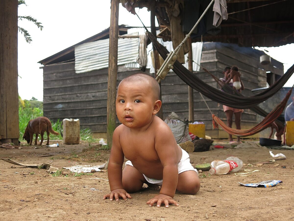 encounter nukak mak modern society Nukak-Mak\u00fa Indigenous Rights