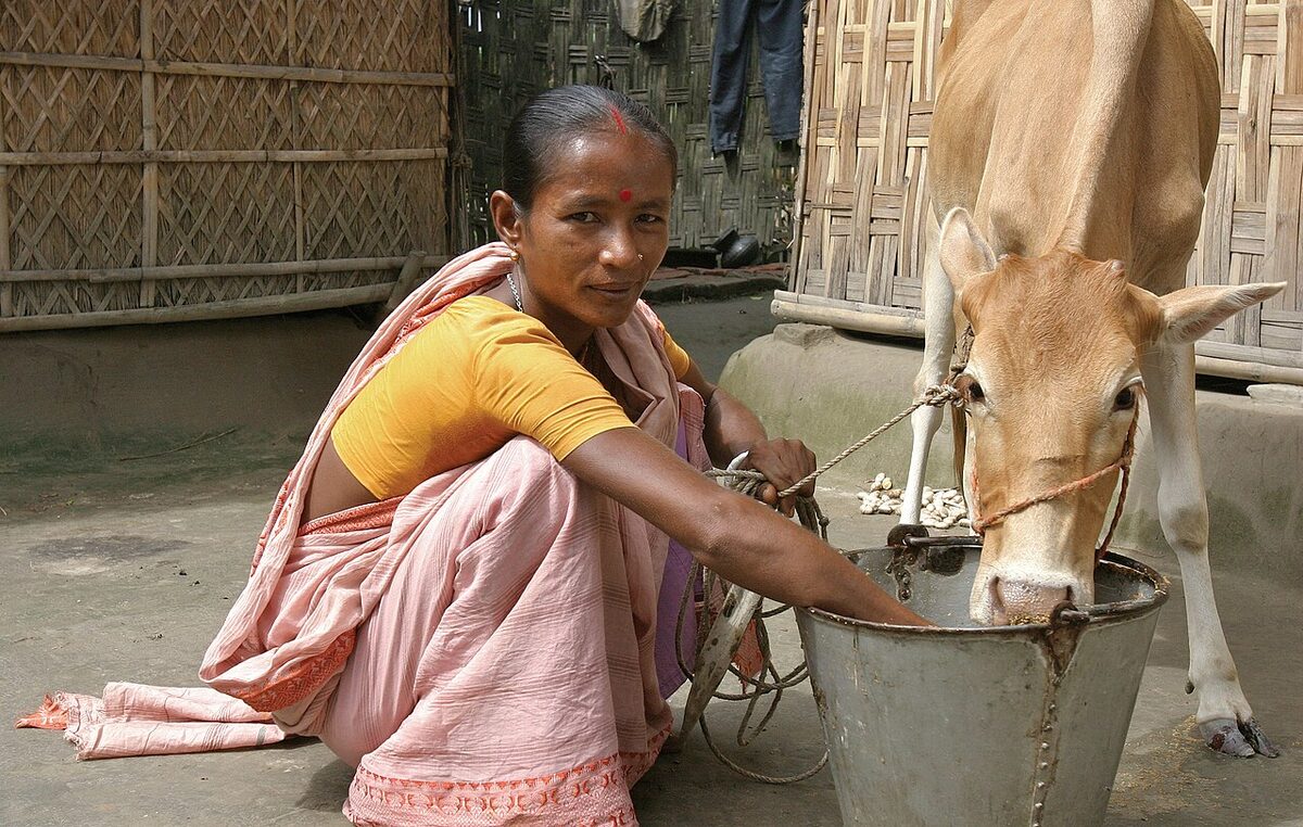 unlocking female entrepreneurship microfinance Microfinance Female Entrepreneurship